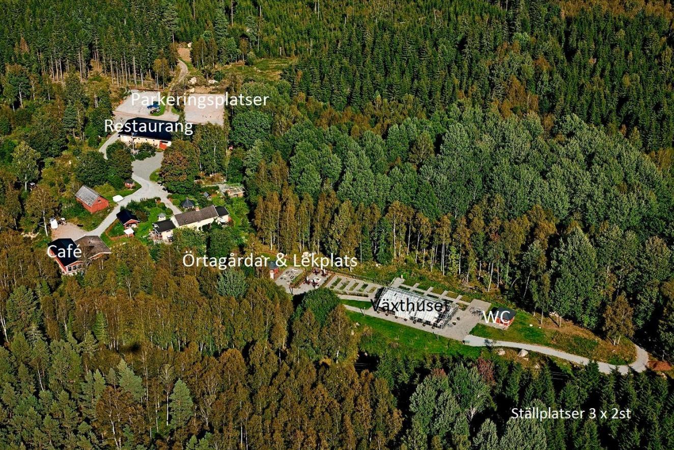 Timjan Forest Resort Nydala エクステリア 写真